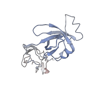 3852_5ot7_6_v1-3
Elongation factor G-ribosome complex captures in the absence of inhibitors.