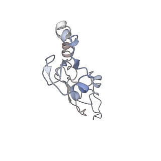 3852_5ot7_7_v1-3
Elongation factor G-ribosome complex captures in the absence of inhibitors.