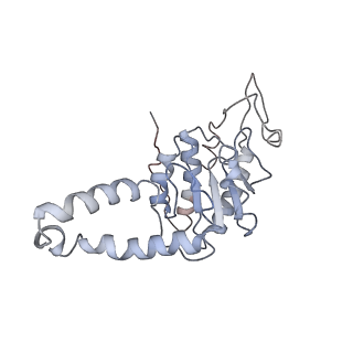 3852_5ot7_A_v1-3
Elongation factor G-ribosome complex captures in the absence of inhibitors.