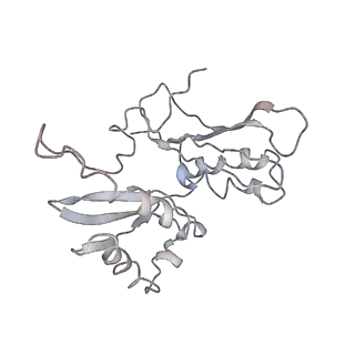 3852_5ot7_B_v1-3
Elongation factor G-ribosome complex captures in the absence of inhibitors.