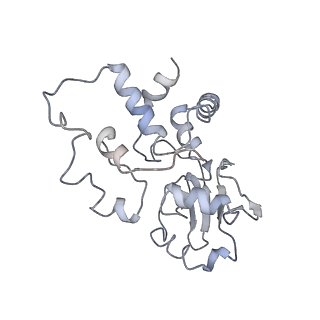 3852_5ot7_C_v1-3
Elongation factor G-ribosome complex captures in the absence of inhibitors.