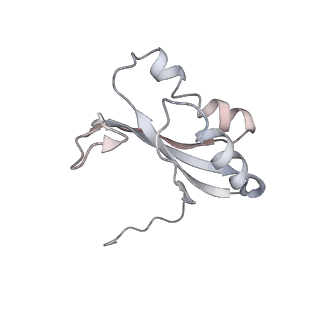 3852_5ot7_E_v1-3
Elongation factor G-ribosome complex captures in the absence of inhibitors.