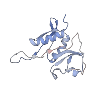 3852_5ot7_G_v1-3
Elongation factor G-ribosome complex captures in the absence of inhibitors.