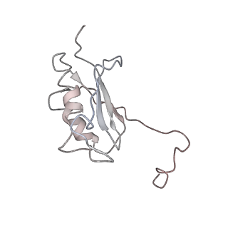 3852_5ot7_J_v1-3
Elongation factor G-ribosome complex captures in the absence of inhibitors.