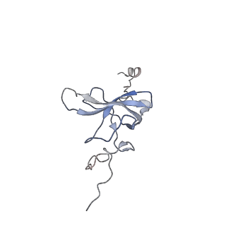 3852_5ot7_K_v1-3
Elongation factor G-ribosome complex captures in the absence of inhibitors.