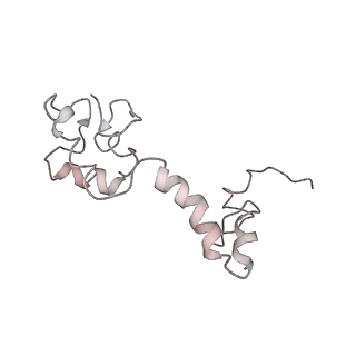 3852_5ot7_L_v1-3
Elongation factor G-ribosome complex captures in the absence of inhibitors.