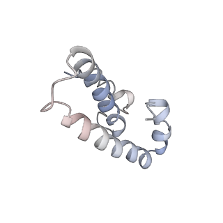 3852_5ot7_N_v1-3
Elongation factor G-ribosome complex captures in the absence of inhibitors.