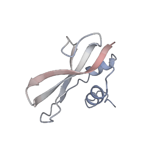 3852_5ot7_O_v1-3
Elongation factor G-ribosome complex captures in the absence of inhibitors.