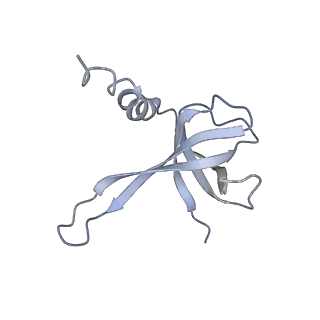 3852_5ot7_P_v1-3
Elongation factor G-ribosome complex captures in the absence of inhibitors.