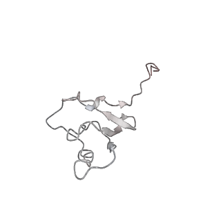 3852_5ot7_R_v1-3
Elongation factor G-ribosome complex captures in the absence of inhibitors.