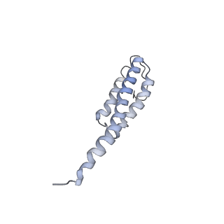 3852_5ot7_S_v1-3
Elongation factor G-ribosome complex captures in the absence of inhibitors.