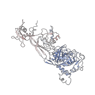3852_5ot7_U_v1-3
Elongation factor G-ribosome complex captures in the absence of inhibitors.