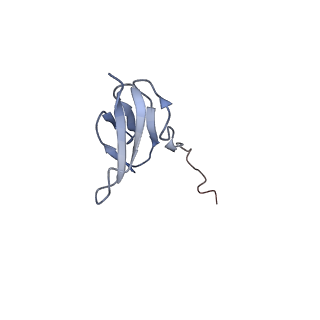 3852_5ot7_V_v1-3
Elongation factor G-ribosome complex captures in the absence of inhibitors.