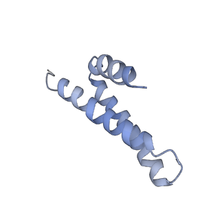 3852_5ot7_X_v1-3
Elongation factor G-ribosome complex captures in the absence of inhibitors.