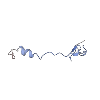 3852_5ot7_a_v1-3
Elongation factor G-ribosome complex captures in the absence of inhibitors.
