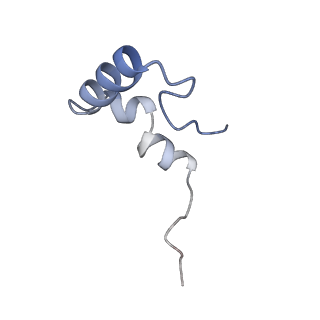 3852_5ot7_c_v1-3
Elongation factor G-ribosome complex captures in the absence of inhibitors.