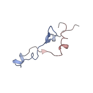 3852_5ot7_d_v1-3
Elongation factor G-ribosome complex captures in the absence of inhibitors.
