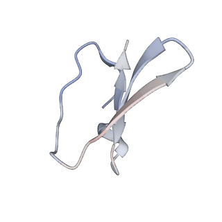 3852_5ot7_e_v1-3
Elongation factor G-ribosome complex captures in the absence of inhibitors.