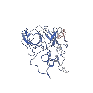 3852_5ot7_g_v1-3
Elongation factor G-ribosome complex captures in the absence of inhibitors.