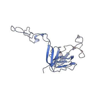 3852_5ot7_h_v1-3
Elongation factor G-ribosome complex captures in the absence of inhibitors.