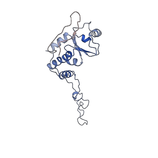 3852_5ot7_i_v1-3
Elongation factor G-ribosome complex captures in the absence of inhibitors.