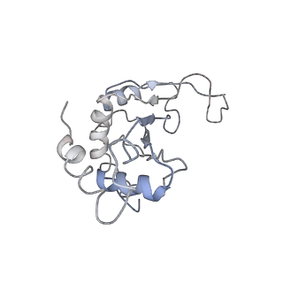 3852_5ot7_j_v1-3
Elongation factor G-ribosome complex captures in the absence of inhibitors.