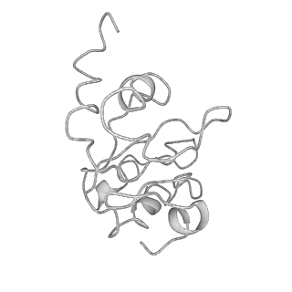 3852_5ot7_l_v1-3
Elongation factor G-ribosome complex captures in the absence of inhibitors.