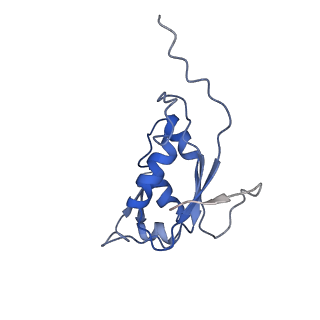 3852_5ot7_o_v1-3
Elongation factor G-ribosome complex captures in the absence of inhibitors.