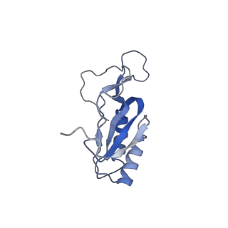 3852_5ot7_r_v1-3
Elongation factor G-ribosome complex captures in the absence of inhibitors.