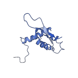 3852_5ot7_s_v1-3
Elongation factor G-ribosome complex captures in the absence of inhibitors.