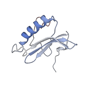 3852_5ot7_t_v1-3
Elongation factor G-ribosome complex captures in the absence of inhibitors.
