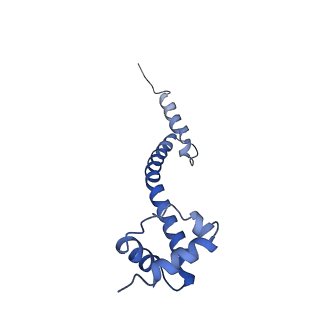 3852_5ot7_v_v1-3
Elongation factor G-ribosome complex captures in the absence of inhibitors.