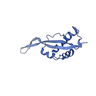 3852_5ot7_x_v1-3
Elongation factor G-ribosome complex captures in the absence of inhibitors.
