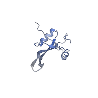 3852_5ot7_y_v1-3
Elongation factor G-ribosome complex captures in the absence of inhibitors.