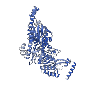 13071_7ou0_A_v1-1
The structure of MutS bound to two molecules of ADP-Vanadate