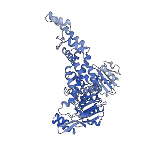 13071_7ou0_B_v1-1
The structure of MutS bound to two molecules of ADP-Vanadate