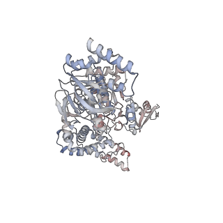 13073_7ou2_A_v1-1
The structure of MutS bound to two molecules of ADP