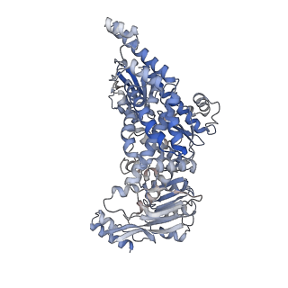 13074_7ou4_B_v1-1
The structure of MutS bound to one molecule of ATP and one molecule of ADP