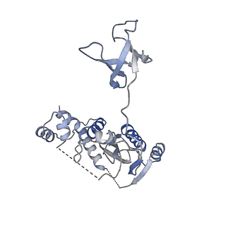 13076_7oug_A_v1-1
STLV-1 intasome:B56 in complex with the strand-transfer inhibitor raltegravir