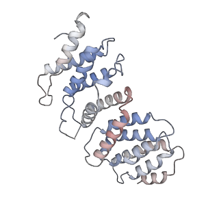 13076_7oug_C_v1-1
STLV-1 intasome:B56 in complex with the strand-transfer inhibitor raltegravir