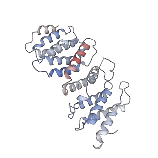 13076_7oug_F_v1-1
STLV-1 intasome:B56 in complex with the strand-transfer inhibitor raltegravir