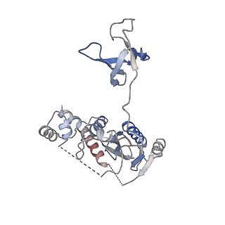 13077_7ouh_A_v1-1
Structure of the STLV intasome:B56 complex bound to the strand-transfer inhibitor bictegravir