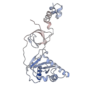 13077_7ouh_B_v1-1
Structure of the STLV intasome:B56 complex bound to the strand-transfer inhibitor bictegravir