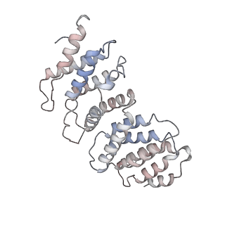 13077_7ouh_C_v1-1
Structure of the STLV intasome:B56 complex bound to the strand-transfer inhibitor bictegravir