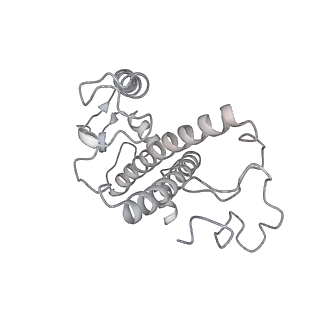 13078_7oui_1_v1-0
Structure of C2S2M2-type Photosystem supercomplex from Arabidopsis thaliana (digitonin-extracted)