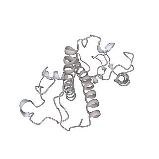13078_7oui_2_v1-0
Structure of C2S2M2-type Photosystem supercomplex from Arabidopsis thaliana (digitonin-extracted)