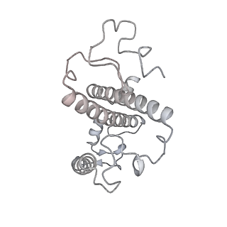 13078_7oui_3_v1-0
Structure of C2S2M2-type Photosystem supercomplex from Arabidopsis thaliana (digitonin-extracted)