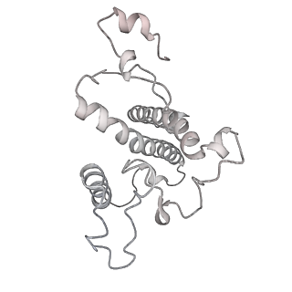 13078_7oui_4_v1-0
Structure of C2S2M2-type Photosystem supercomplex from Arabidopsis thaliana (digitonin-extracted)