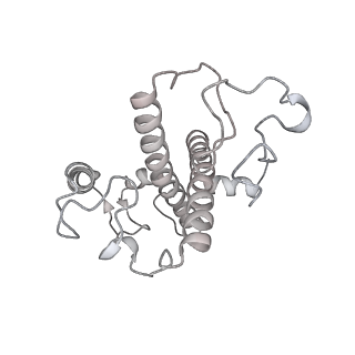 13078_7oui_6_v1-0
Structure of C2S2M2-type Photosystem supercomplex from Arabidopsis thaliana (digitonin-extracted)