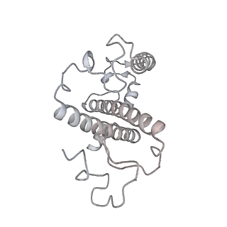 13078_7oui_7_v1-0
Structure of C2S2M2-type Photosystem supercomplex from Arabidopsis thaliana (digitonin-extracted)
